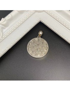 Meteorite Pendant (Sweden)