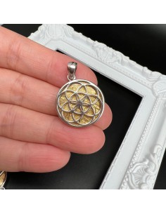 Meteorite Silver Pendant (Sweden) 2