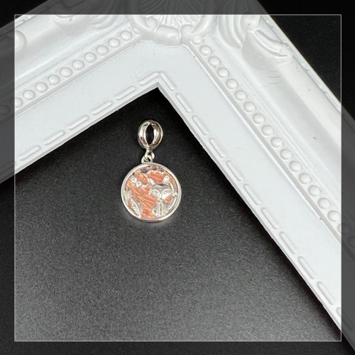 Meteorite Silver Charm (Sweden)