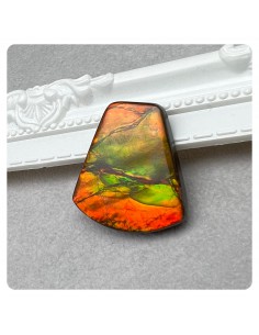 Ammonite Pendant Irregular