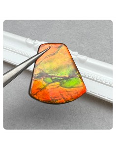 Ammonite Pendant Irregular 2