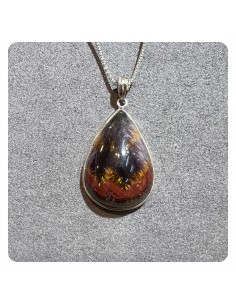 Auralite 23 - 曠驊行 KWH JEWEL