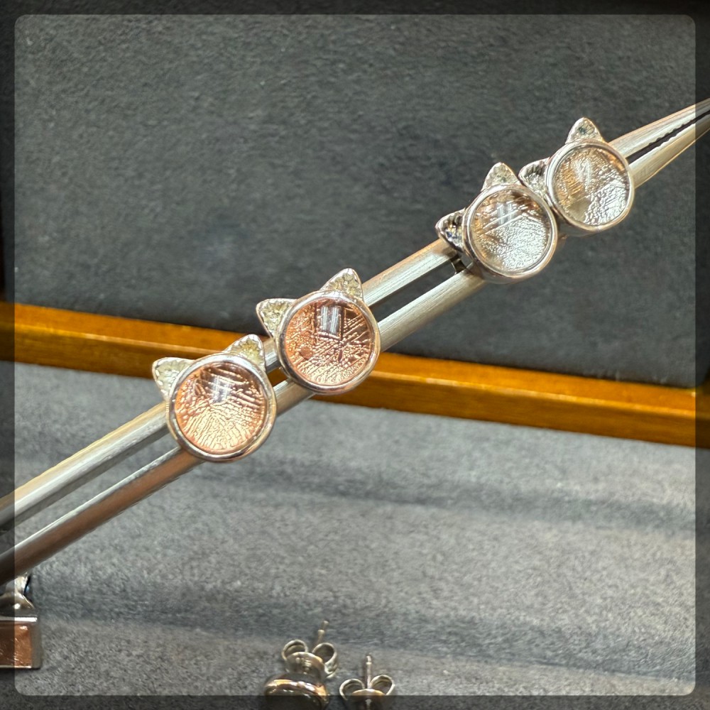 Muonionalusta Meteorite Earrings