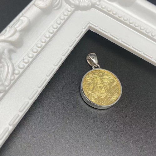 Meteorite Silver Pendant Tree of Life (Sweden)